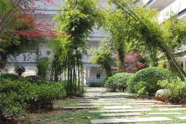 武汉工程大学自考本科助学班毕业生是否真的能考研究生或公务员